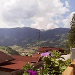 Bergliebe